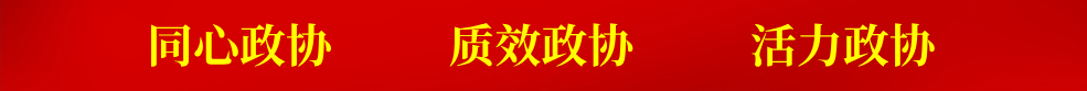 同心政協(xié)質(zhì)效政協(xié)活力政協(xié)